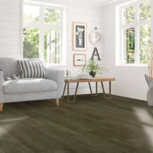 Living Room Laminate | O'Krent Floors