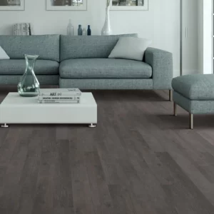 Living Room Vinyl | O'Krent Floors