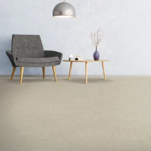 Carpet Flooring | O'Krent Floors