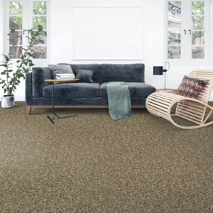 Carpet Floor | O'Krent Floors