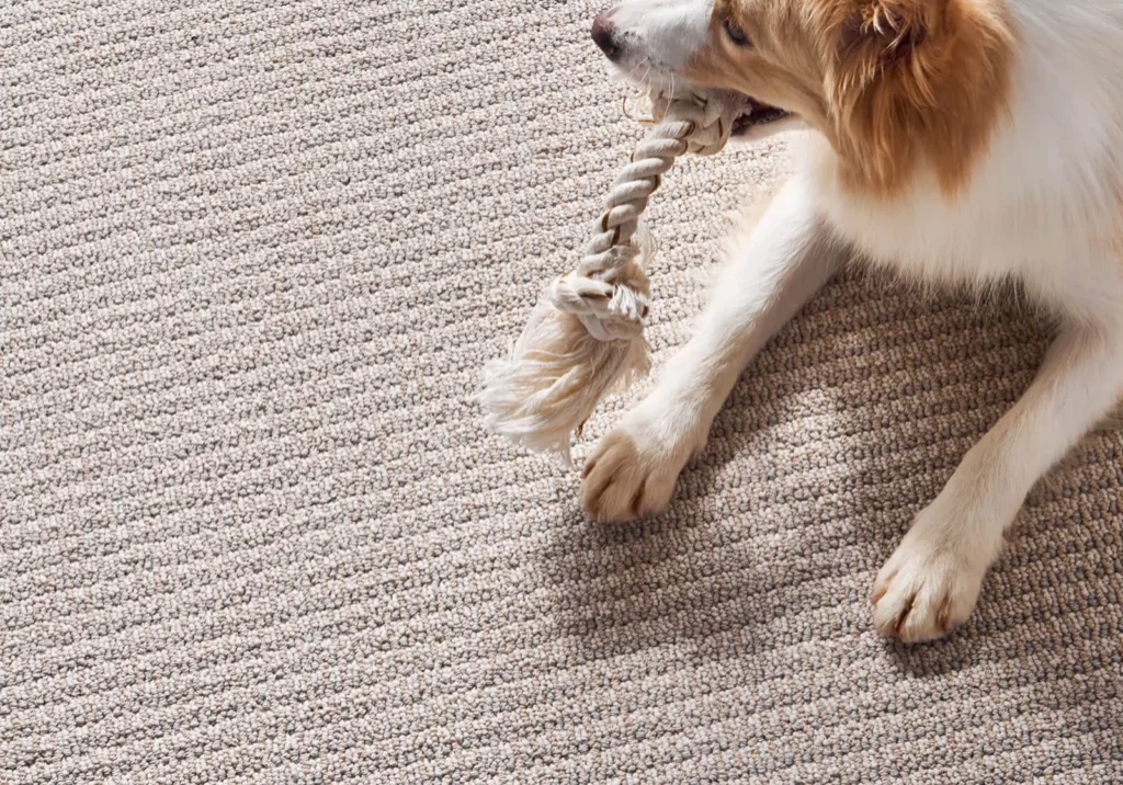 Pet Friendly Flooring | O'Krent Floors
