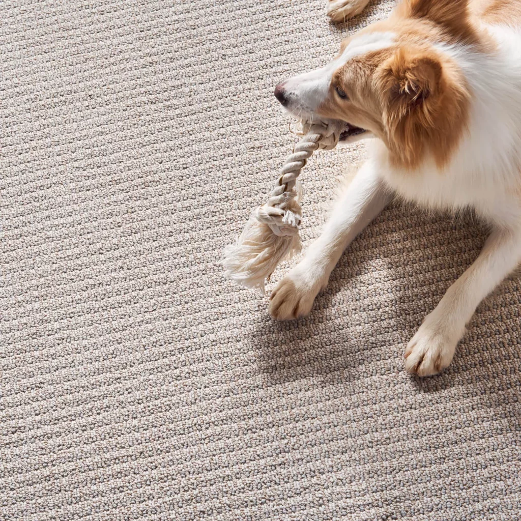 AbbeysRoad-ZZ013-00250-FairyWings-Wide2-H_1600x1600 (1) Pet Friendly Flooring | O'Krent Floors